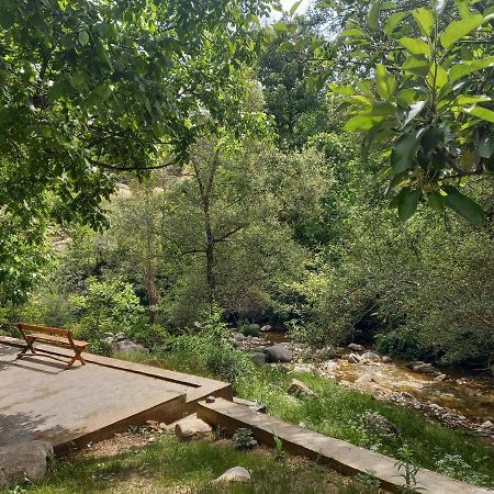 Forest Guest House Mirzakishlak Bagian luar foto