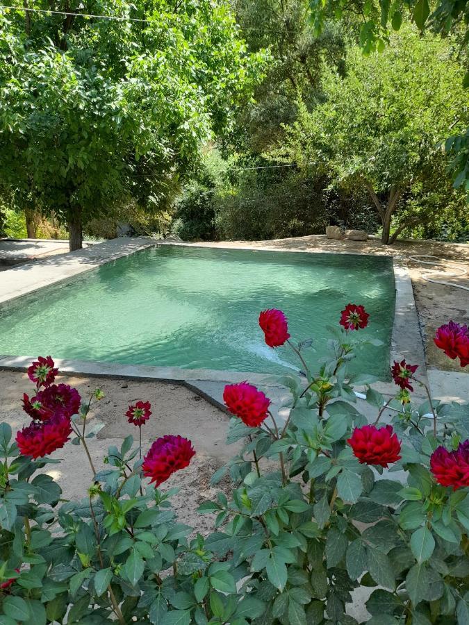 Forest Guest House Mirzakishlak Bagian luar foto