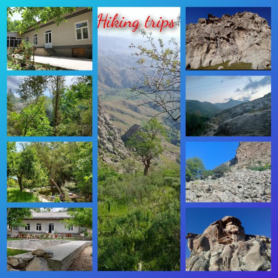 Forest Guest House Mirzakishlak Bagian luar foto
