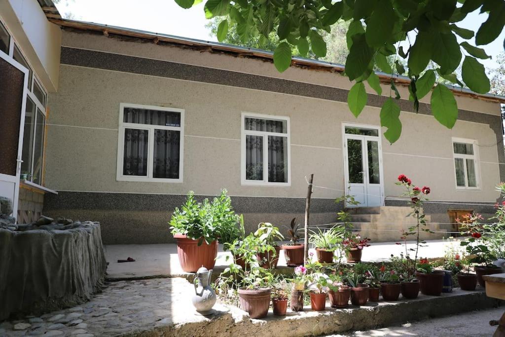 Forest Guest House Mirzakishlak Bagian luar foto