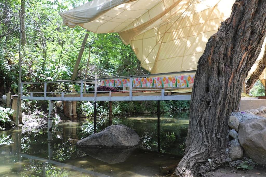 Forest Guest House Mirzakishlak Bagian luar foto