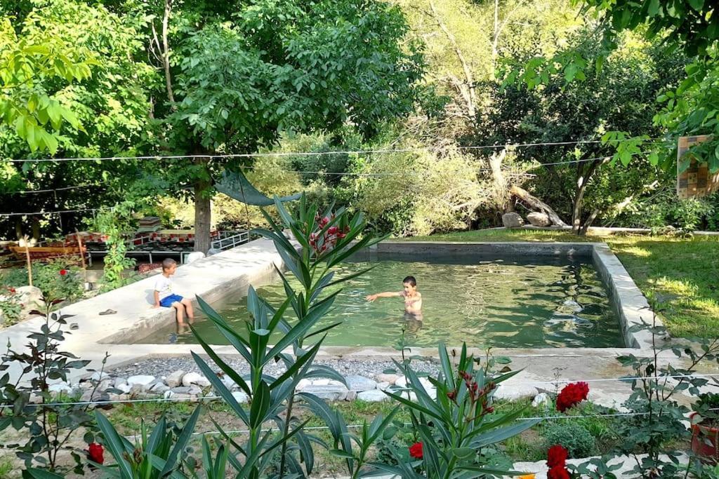Forest Guest House Mirzakishlak Bagian luar foto