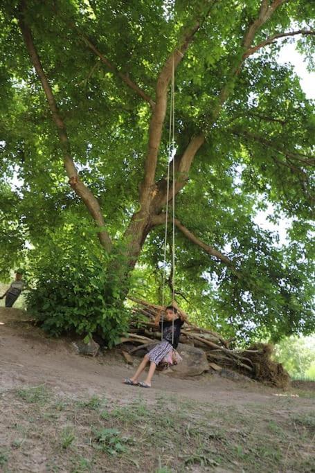 Forest Guest House Mirzakishlak Bagian luar foto